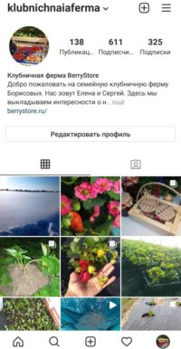 Мы в инстаграмме