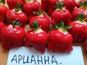 арианна