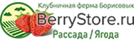 Клубничная ферма в Санкт-Петербурге Логотип