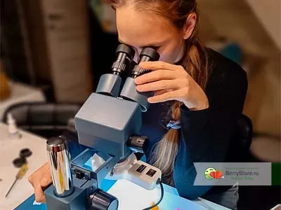 lena_micro